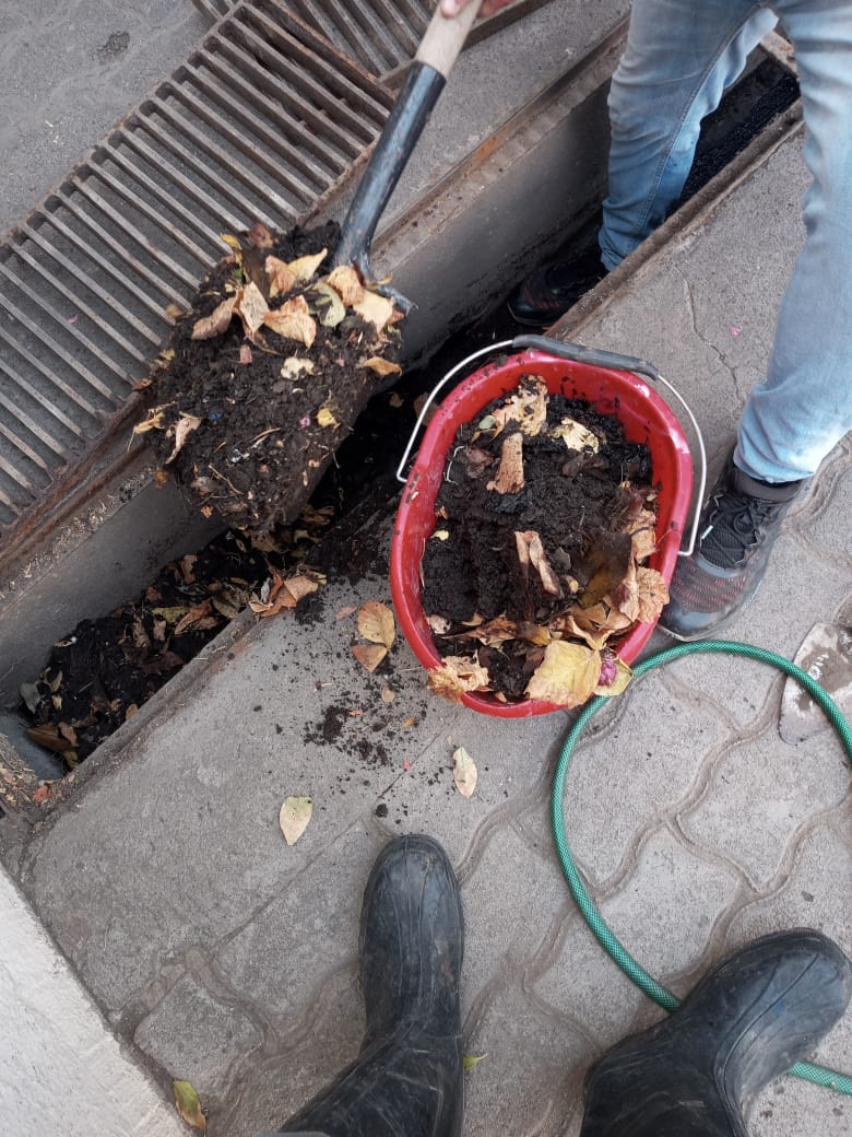 WhatsApp Image 2025-05-02 at 20.49.20