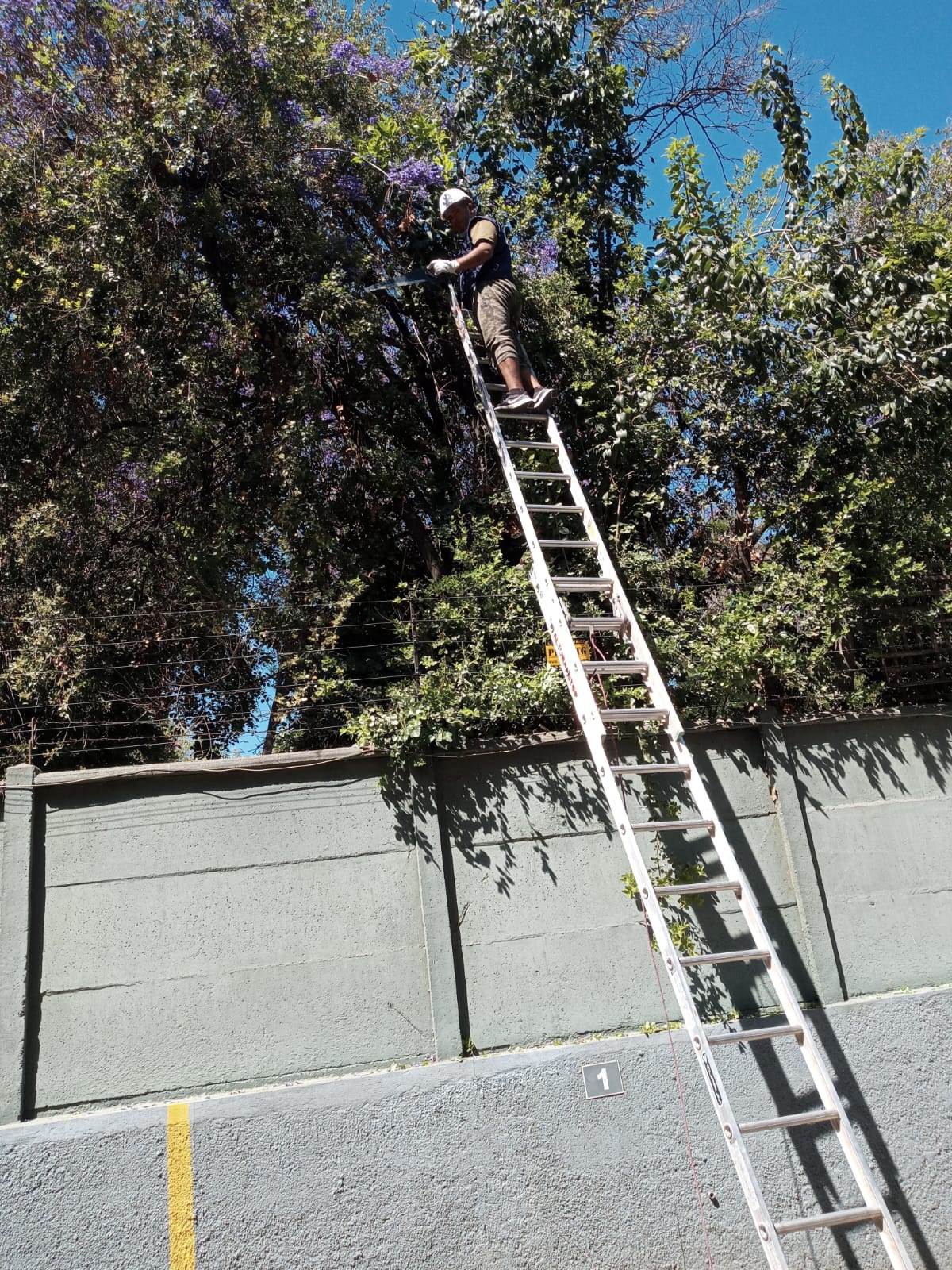 WhatsApp Image 2025-05-02 at 20.49.23